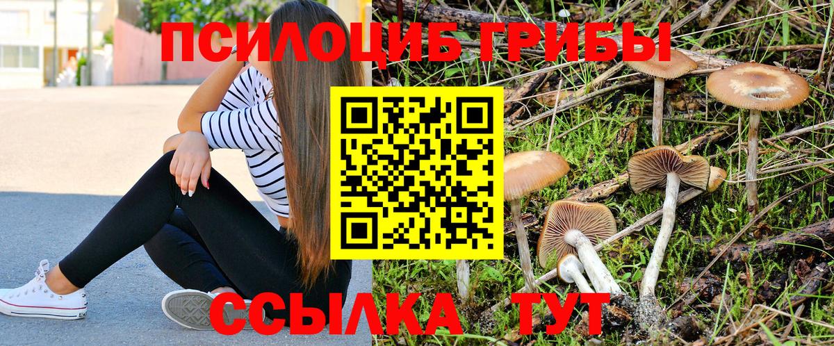 наркошоп  Псилоцибиновые грибы прущие грибы  Вход с VPN  Богородицк 